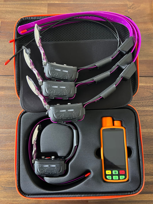 ESEEK BUNDLE 4 COLLARS