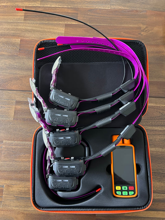 ESEEK BUNDLE 5 COLLARS